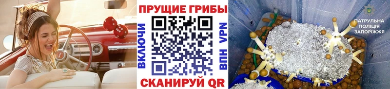 Псилоцибиновые грибы MAGIC MUSHROOMS  Балабаново 