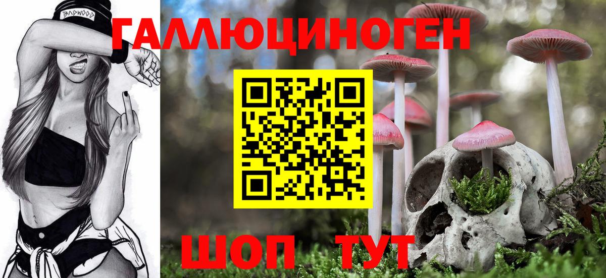 Псилоцибиновые грибы MAGIC MUSHROOMS  Галлюциногенные грибы мицелий  Балабаново  Вход с VPN 